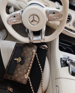 steering wheel and purse
